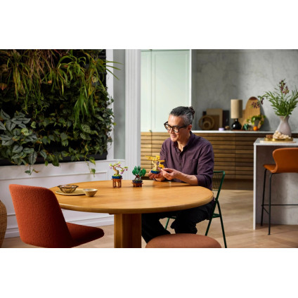 Конструктор LEGO The Botanical Collection 10373 Мини-деревья бонсай