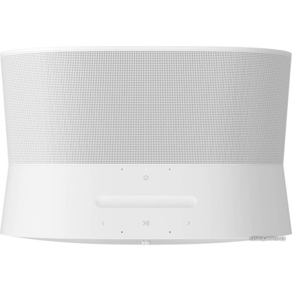 Беспроводная аудиосистема Sonos Era 300 (белый)