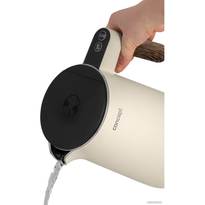 Электрический чайник Concept RK3304