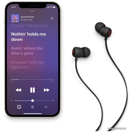 Наушники Beats Flex (черный)