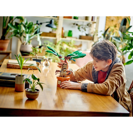 Конструктор LEGO Harry Potter 76433 Мандрагора