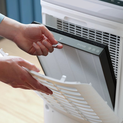 Осушитель воздуха Philips DE5305/11