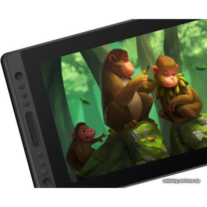 Графический монитор Huion Kamvas Pro 16
