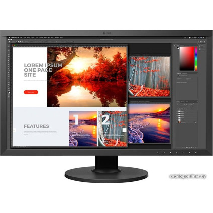 Монитор EIZO ColorEdge CS2740-BK