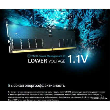 Оперативная память Silicon-Power 16ГБ DDR5 4800 МГц SP016GBLVU480F02