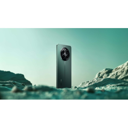 Телефон Realme 12 RMX3871 8GB/256GB международная версия (зеленый малахит)
