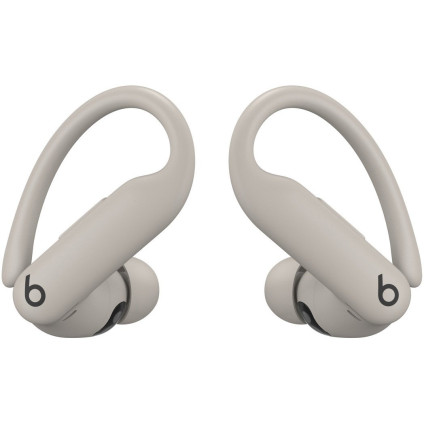 Наушники Beats Powerbeats Pro 2 (серый)