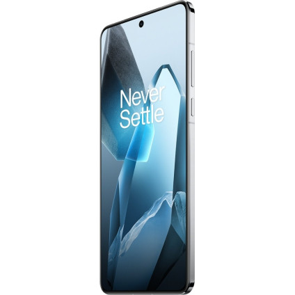 Телефон OnePlus 13 12GB/256GB китайская версия (синий)