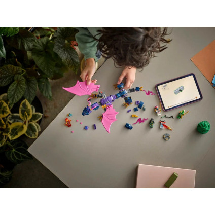 Конструктор LEGO Ninjago Мастер Драконов 71842