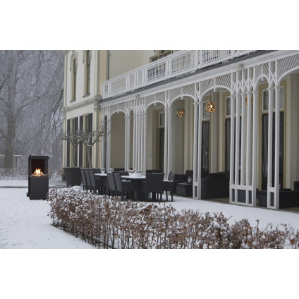 Биокамин Faber theBUZZ