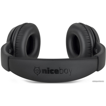 Наушники Niceboy Hive 3 Prodigy
