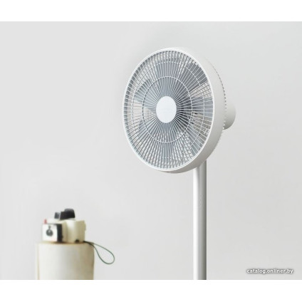 Вентилятор SmartMi Standing Fan 2S ZLBPLDS03ZM (международная версия)