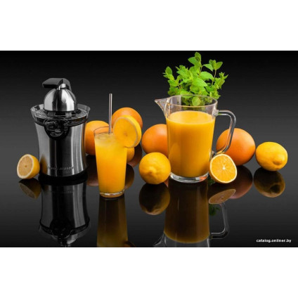 Соковыжималка Goetze & Jensen CJ701X