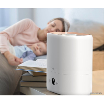 Увлажнитель воздуха Deerma DEM-ST636W (международная версия)