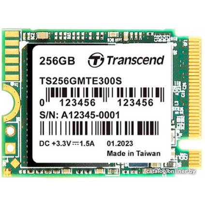 SSD Transcend 300S 256GB TS256GMTE300S