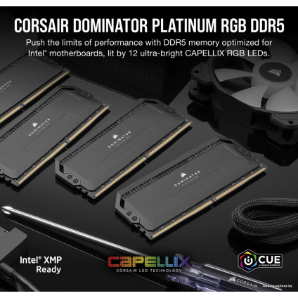 Оперативная память Corsair Dominator Platinum RGB 2x32ГБ DDR5 6600 МГц CMT64GX5M2B6600C32