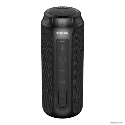 Беспроводная колонка Tonsil Flip 6