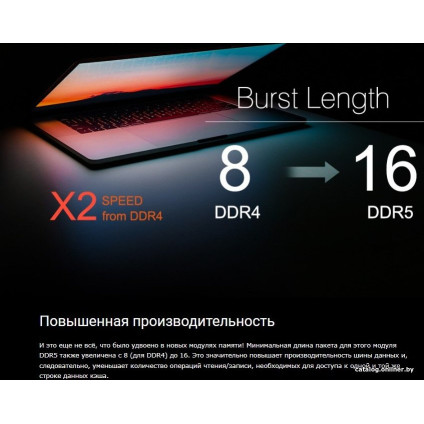 Оперативная память Silicon-Power 32ГБ DDR5 5600 МГц SP032GBLVU560F02