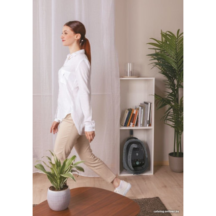 Пылесос Hoover HE321PAF 011