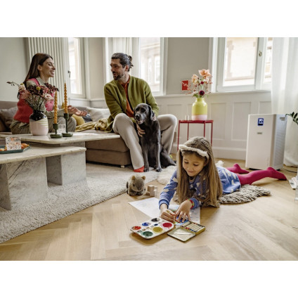 Очиститель воздуха Karcher AF 50 1.024-826.0