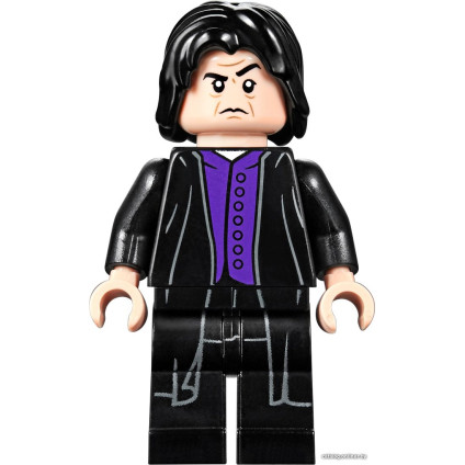 Конструктор LEGO Harry Potter 75953 Гремучая ива