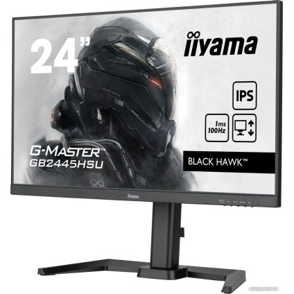 Игровой монитор iiyama G-Master Black Hawk GB2445HSU-B1