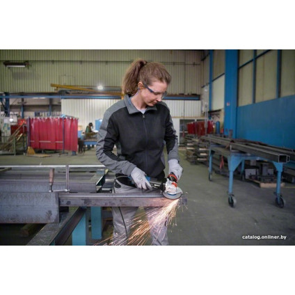 Угловая шлифмашина Bosch GWX 17-125 S Professional 06017D2300