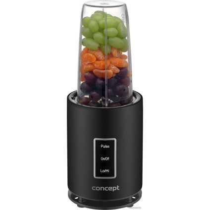 Стационарный блендер Concept SM1500