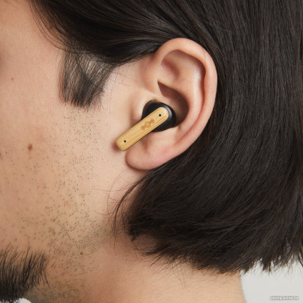 Наушники Marley Little Bird TWS (бежевый/зеленый)