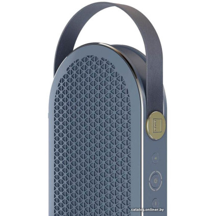 Беспроводная колонка DALI Katch G2 (chilly blue)