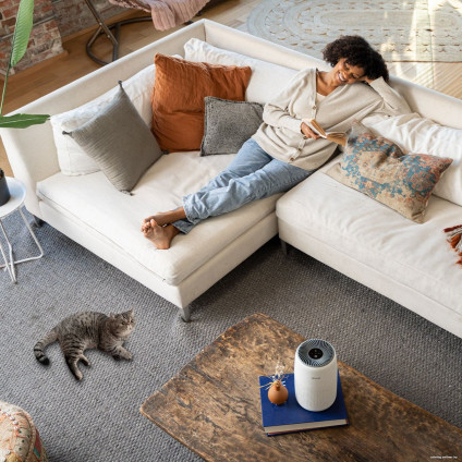 Очиститель воздуха Levoit Core Mini