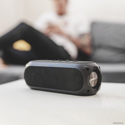 Беспроводная колонка Niceboy Raze 3 Radion