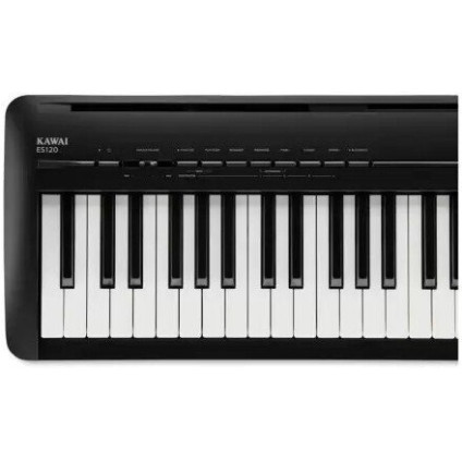 Цифровое пианино Kawai Filo ES120 (черный)