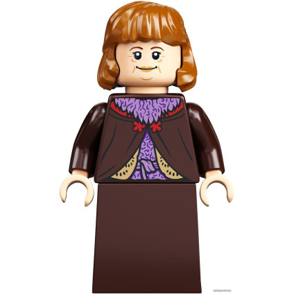 Конструктор LEGO Harry Potter 75978 Косой переулок