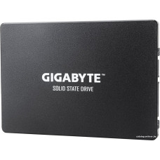 SSD Gigabyte 1TB GP-GSTFS31100TNTD