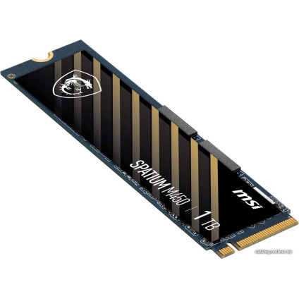 SSD MSI Spatium M450 1TB S78-440L920-P83