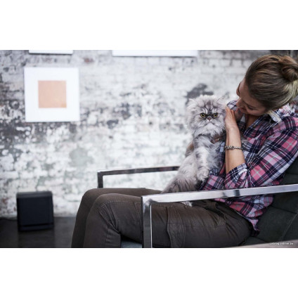 Беспроводной сабвуфер Bose Bass Module 500