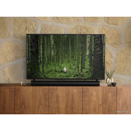 Саундбар Sonos Arc (черный)