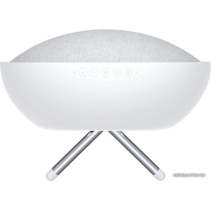 Беспроводная аудиосистема Defunc Home Small (белый)