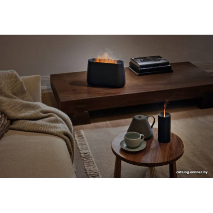 Увлажнитель воздуха Stadler Form Ben (черный)