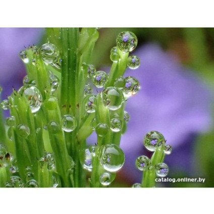 Фотоаппарат Olympus Tough TG-7 (черный)