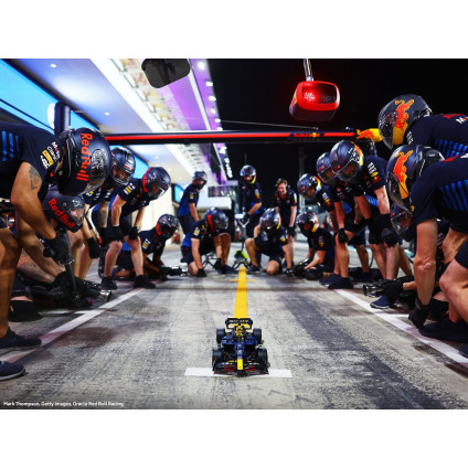 Конструктор LEGO Technic 42206 Гоночная машина F1 Oracle Red Bull Racing RB20