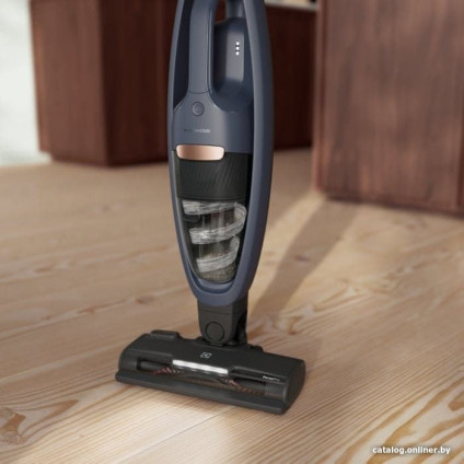 Пылесос Electrolux ES52B25WET