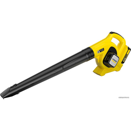 Ручная воздуходувка Karcher LBL 2 Battery Set 1.445-110.0 (с АКБ)