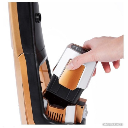 Пылесос TurboTronic TT-LUX900 (медный)