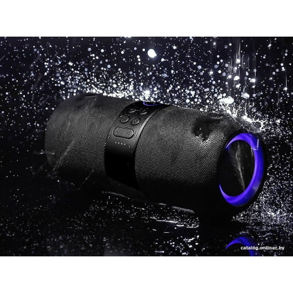Беспроводная колонка Tracer Splash XXL (черный)