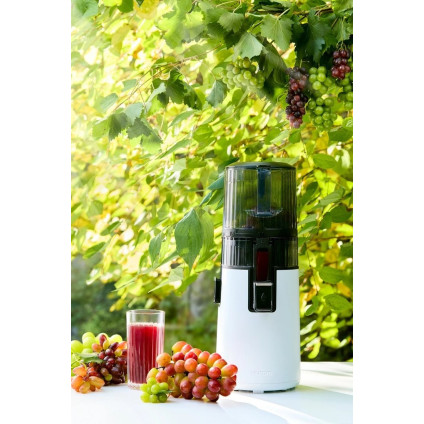 Соковыжималка Hurom H70 Easy (белый)