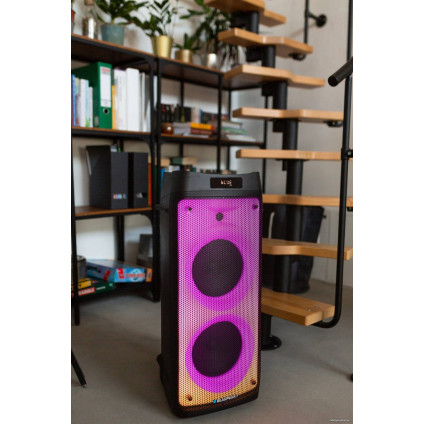 Патибокс Blaupunkt PB08DB