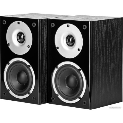 Полочная акустика WILSON Raptor Mini (черный)