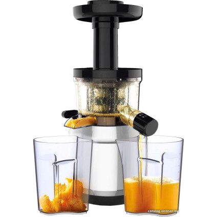 Соковыжималка Tefal ZC420E38